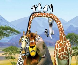пазл Бегемотик Глория, жираф Мельман, лев Алекс, зебра Марти с другими сторонами о приключениях